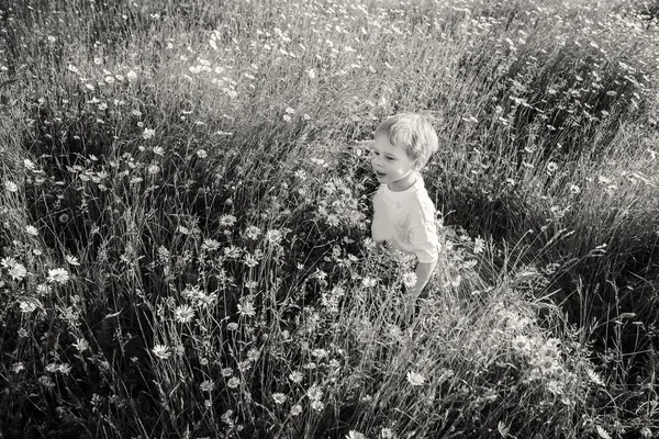 Jongen in veld — Stockfoto