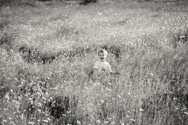 Rapaz no campo — Fotografia de Stock