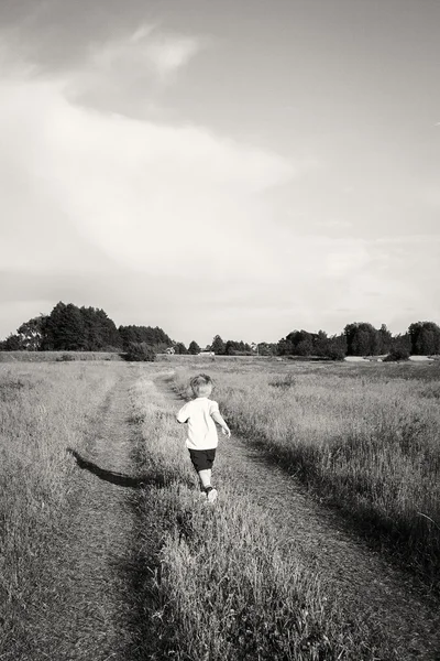 Jongen in veld — Stockfoto