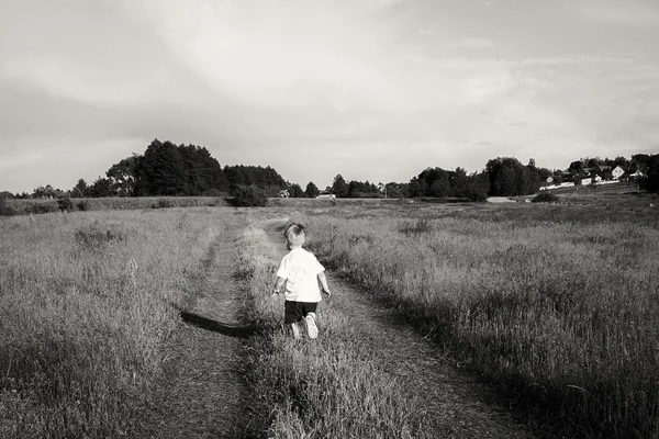 Jongen in veld — Stockfoto