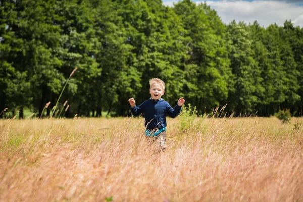 Junge auf dem Feld — Stockfoto