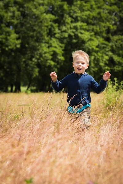 Junge auf dem Feld — Stockfoto