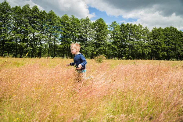 Junge auf dem Feld — Stockfoto