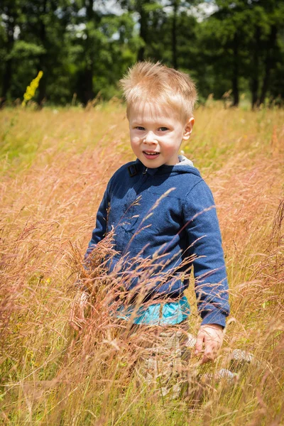 Niño en el campo —  Fotos de Stock