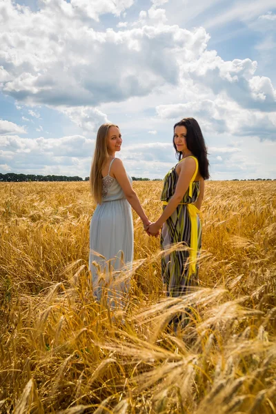 Meisjes in een tarweveld — Stockfoto