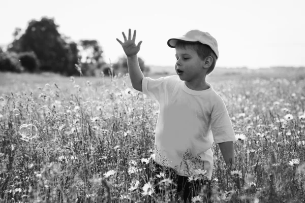 Niño en el campo — Foto de Stock