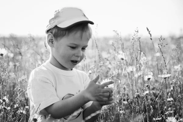 Niño en el campo —  Fotos de Stock