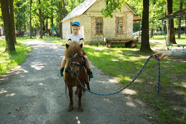 Chlapec jezdeckých pony — Stock fotografie