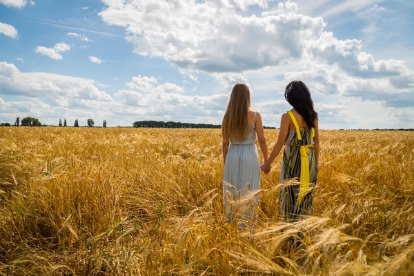 Meisjes in veld — Stockfoto