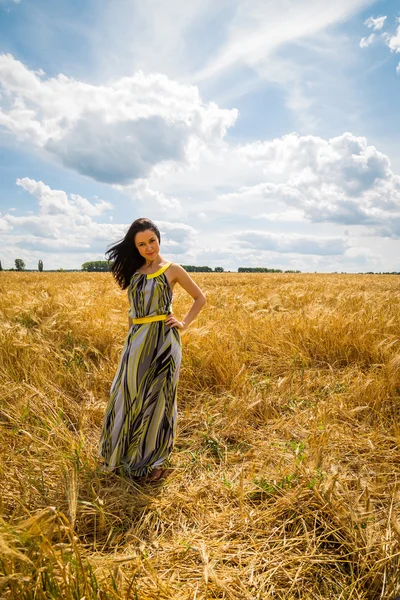 Vrouw in het veld — Stockfoto