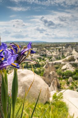 Kapadokya 'nın Kashin kasabası yakınlarında olağanüstü bir doğa.