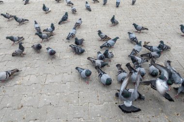Kapadokya 'nın Kashin kasabası yakınlarında olağanüstü bir doğa.