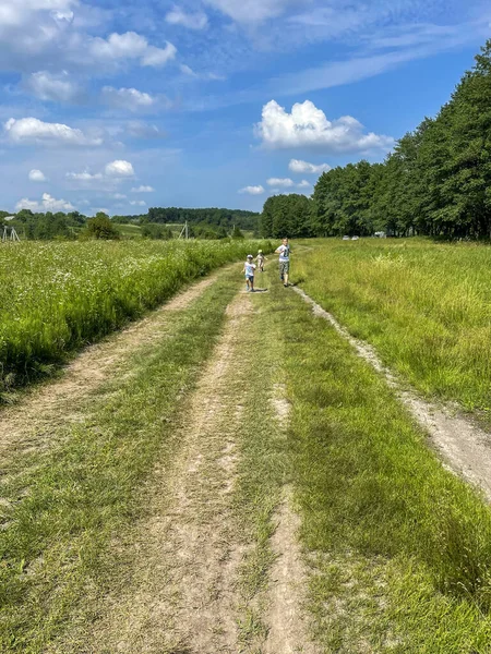 Schöne Wald Hintergrund Natur Sommer — Stockfoto