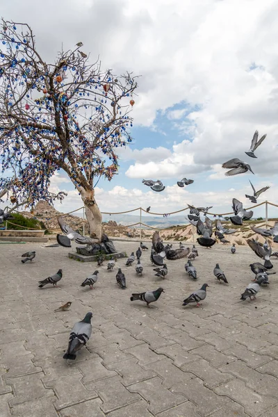 Fabulosa Natureza Perto Cidade Kashin Capadócia — Fotografia de Stock