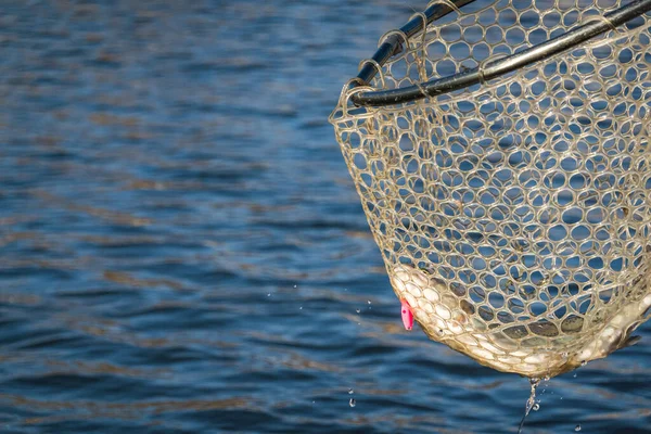 Риболовля Риболовля Форелями Озері — стокове фото