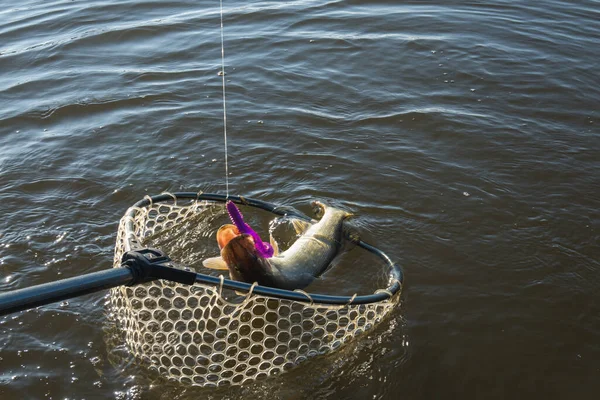 Pescar Pegando Pique Lago — Fotografia de Stock