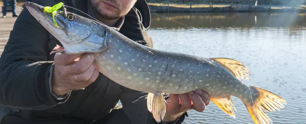 Pêche Attraper Brochet Sur Lac — Photo