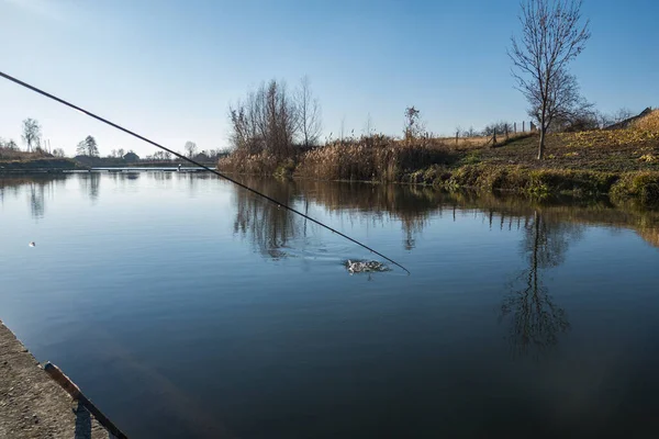 Pescar Pesca Truta Lago — Fotografia de Stock