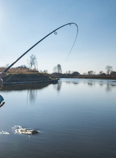 Pesca Captura Lucio Lago — Foto de Stock