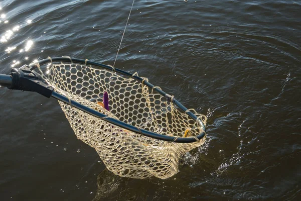 Pêche Attraper Brochet Sur Lac — Photo
