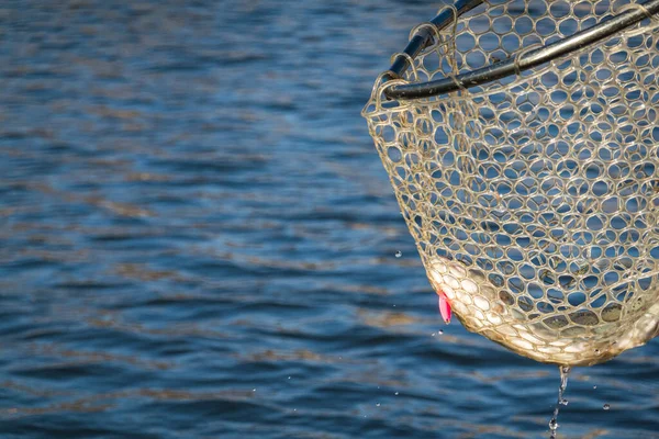 Рыбалка Рыбалка Форели Озере — стоковое фото