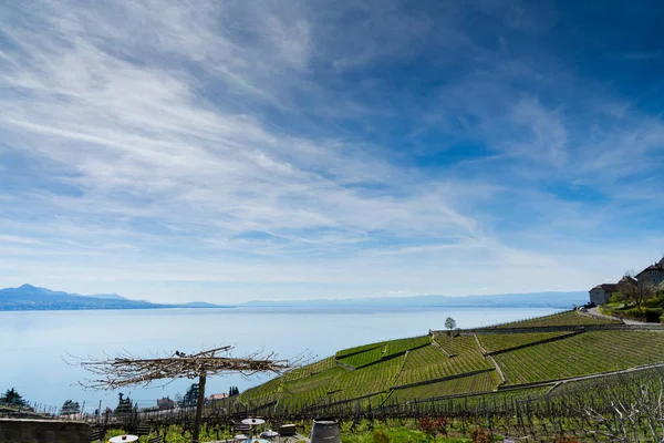 Suisse Lac Léman Vue Région Lavaux — Photo