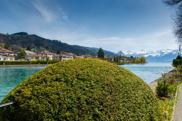 瑞士图恩湖 俯瞰高山和湖泊 — 图库照片