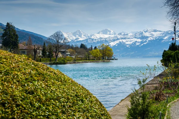 Озеро Тун Швейцарії Вигляд Гір Озер — стокове фото