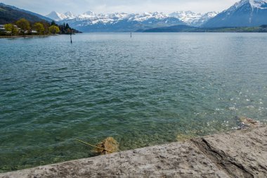 İsviçre 'de Thun Gölü, dağlar ve göl manzarası