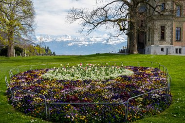 İsviçre 'de Thun Gölü, dağlar ve göl manzarası