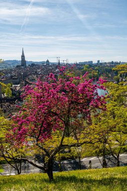Baharda Bern şehrinin muhteşem manzarası.