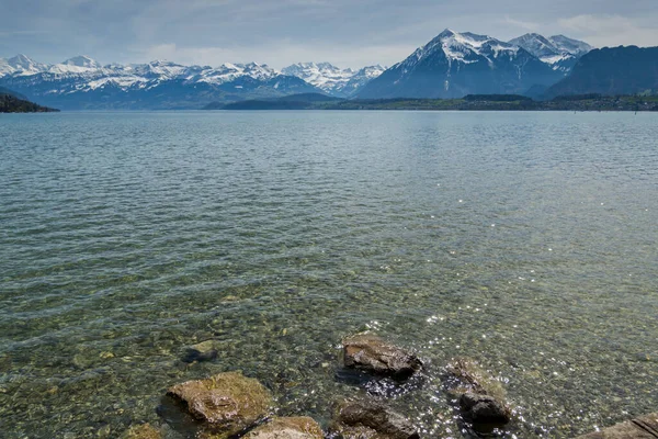 Jezioro Thun Szwajcarii Widok Góry Jezioro — Zdjęcie stockowe