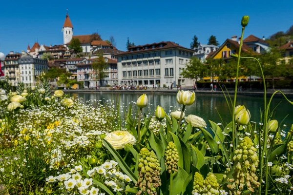 Krásný Výhled Město Thun Řeku Švýcarsku — Stock fotografie