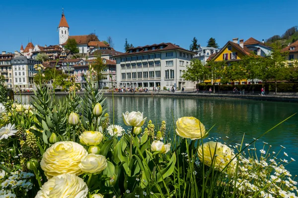 Krásný Výhled Město Thun Řeku Švýcarsku — Stock fotografie