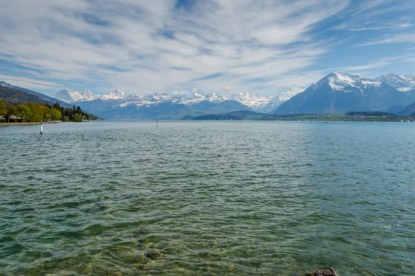 Lago Thun Suiza Vista Las Montañas Lago — Foto de Stock