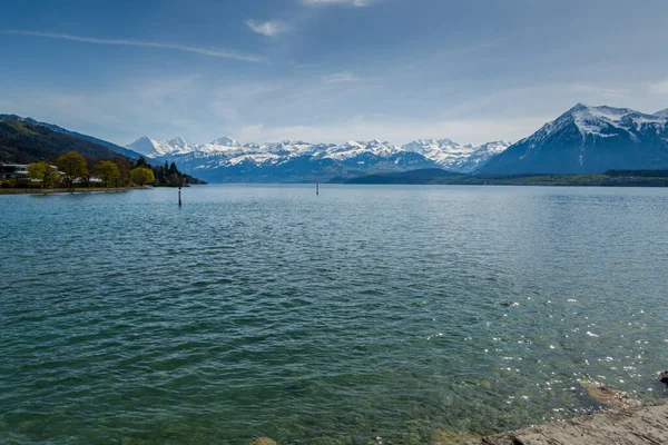 Sviçre Thun Gölü Dağlar Göl Manzarası — Stok fotoğraf