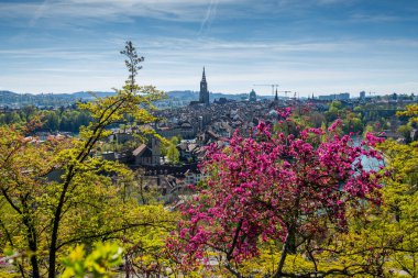 Baharda Bern şehrinin muhteşem manzarası.