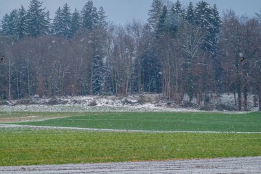 Fenomen, Nisan ayında İsviçre 'ye kar yağdı. Nisan 'da kar altında İsviçre köyü