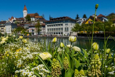 Thun şehrinin ve İsviçre 'deki nehrin güzel manzarası