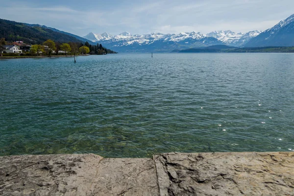 Sviçre Thun Gölü Dağlar Göl Manzarası — Stok fotoğraf