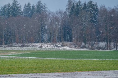 Fenomen, Nisan ayında İsviçre 'ye kar yağdı. Nisan 'da kar altında İsviçre köyü