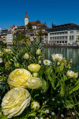 Thun şehrinin ve İsviçre 'deki nehrin güzel manzarası