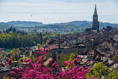 Baharda Bern şehrinin muhteşem manzarası.