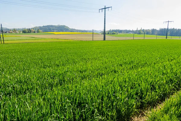 Magnificent Views Landscapes Province Emmental Agricultural Grounds — стоковое фото