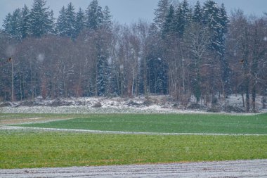 Fenomen, Nisan ayında İsviçre 'ye kar yağdı. Nisan 'da kar altında İsviçre köyü