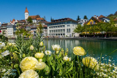 Thun şehrinin ve İsviçre 'deki nehrin güzel manzarası