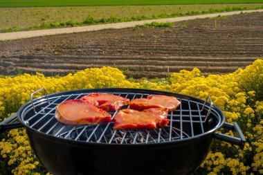 Küçük bir kömür ızgarasında et pişiriyorum.