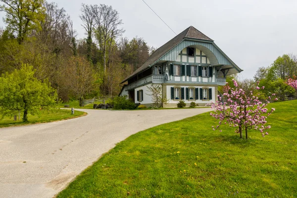 Bonito Vilão Suíço Bela Paisagem Rural Fundo — Fotografia de Stock