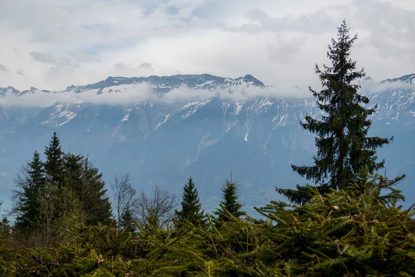 Incredible View Bernese Alps Background Nature Freedom — стоковое фото