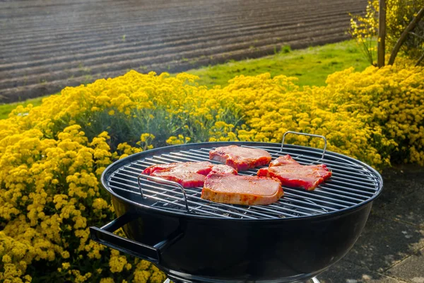 Cooking Meat Small Charcoal Grill — Stockfoto